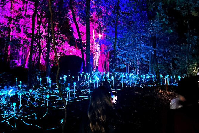 Half Day Langkawi Dreamforest ( 4 Hours ) at Langkawi ( from North Hotel ) 