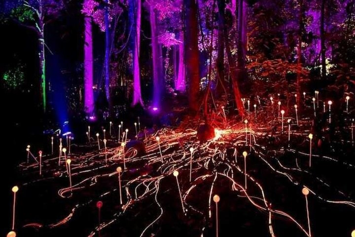 Half Day Langkawi Dreamforest ( 4 Hours ) at Langkawi ( from Beach Hotel ) 	