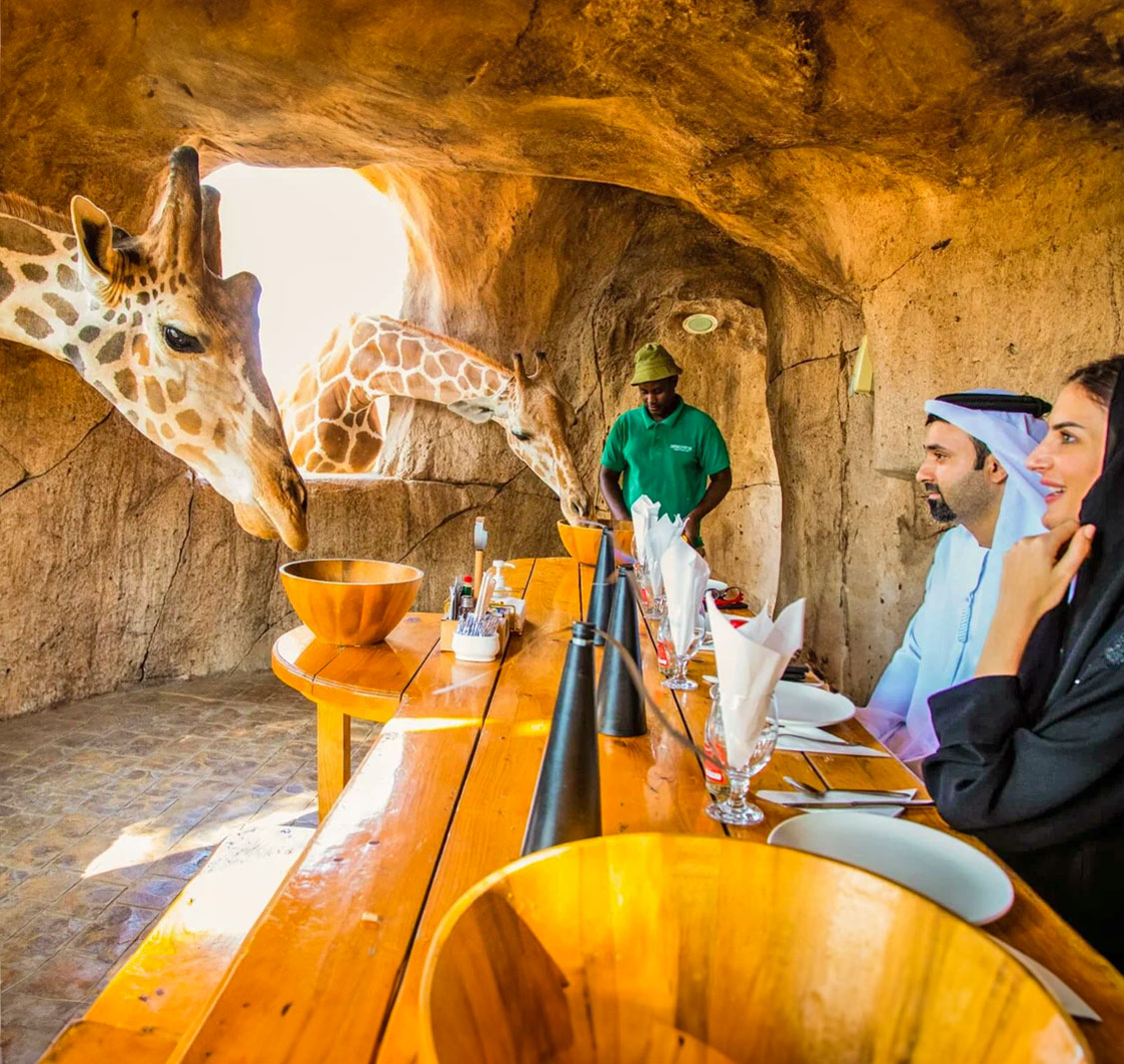 Visit To Emirates Park Zoo