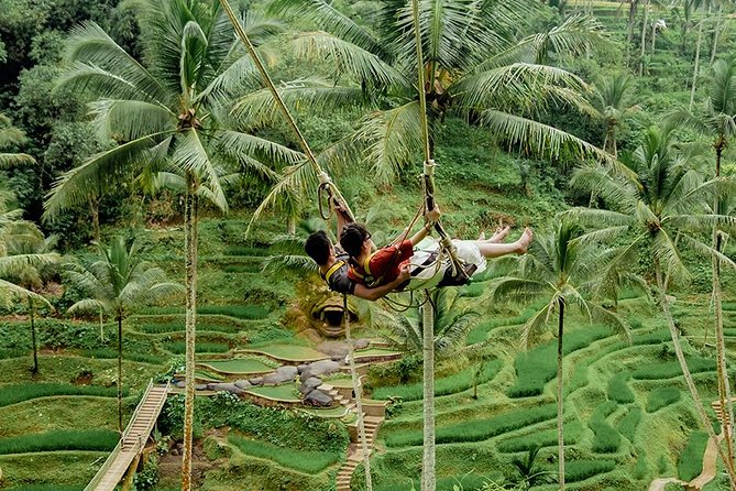 Full Day Ubud Village, Tegalalang Rice Terraces with Bali Swing and Teggunangan Waterfalls
