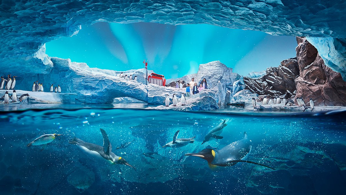 Visit To Sea World 