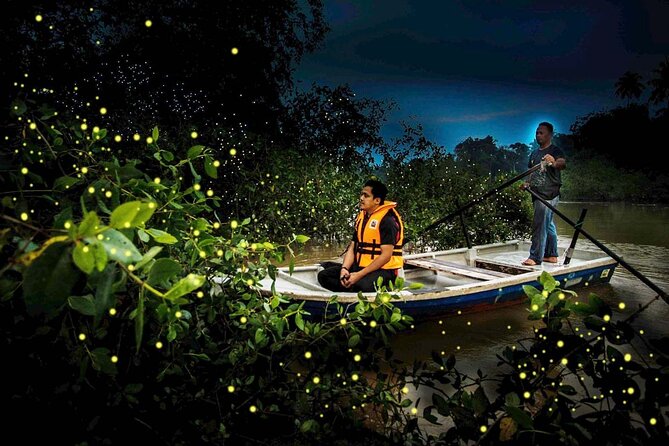 Visit Kuala Selangor & Fireflies