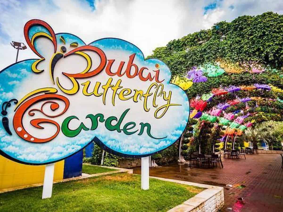 Visit To Butterfly Garden Dubai