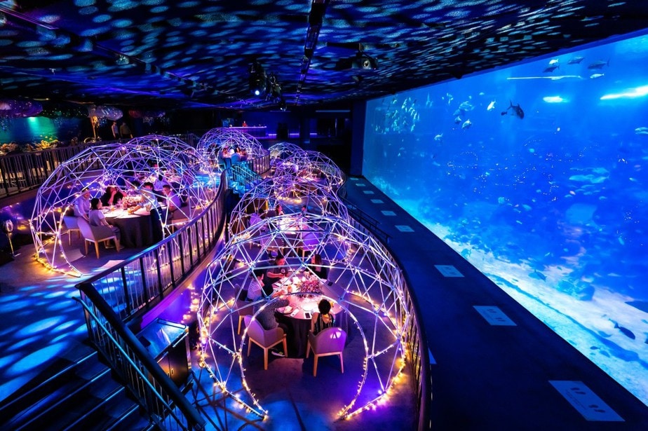 Singapore Oceanarium ( Formerly Sea aquarium )