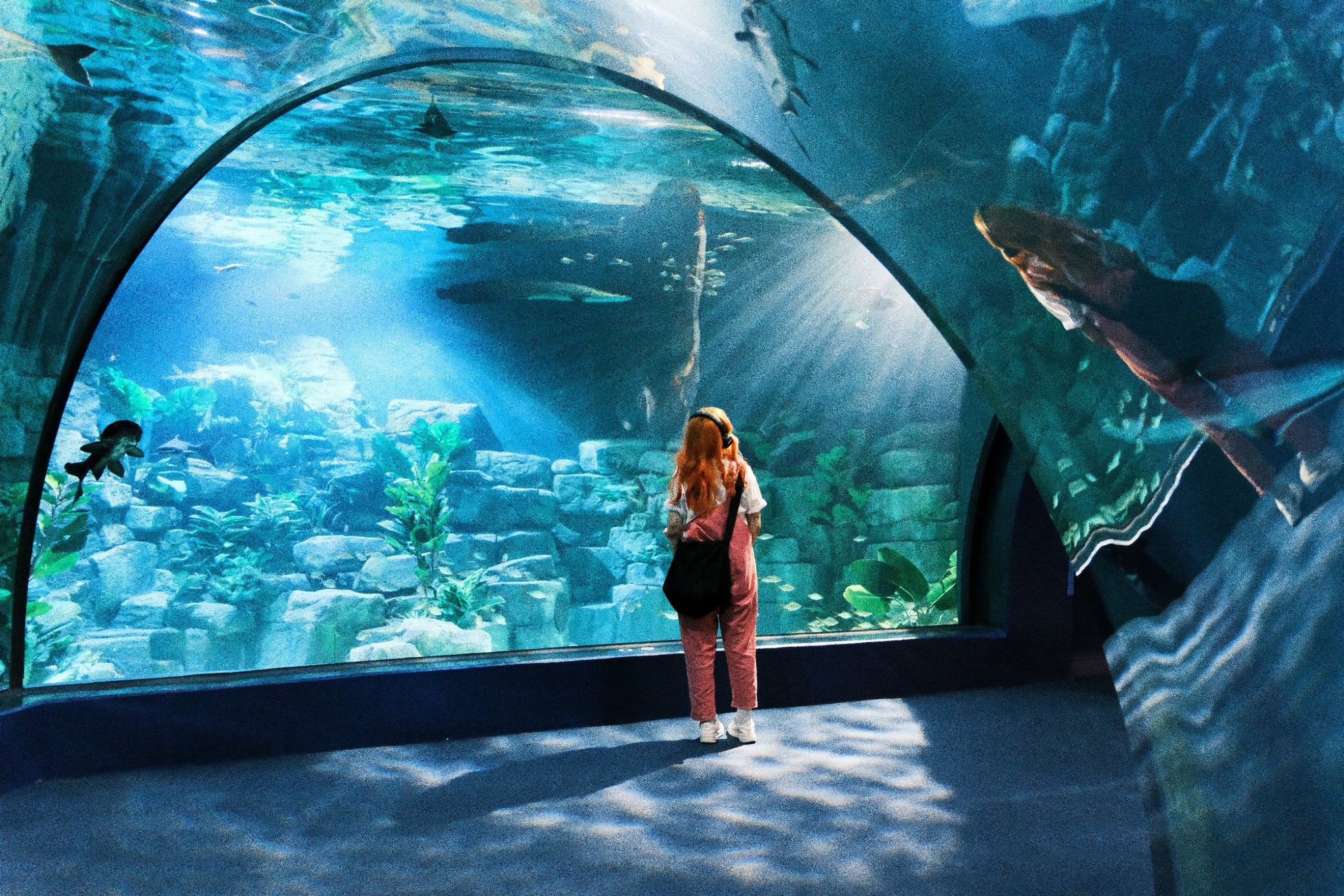  Lotte Aquarium 