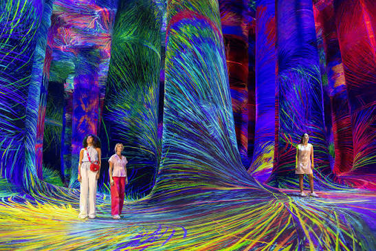 Visit To TeamLab Phenomena