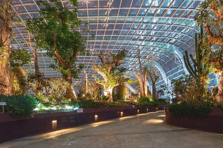 MBS Skypark Ticket ( Non peak) + GBB Supertree Observatory + Cloud Forest + Flower Dome -JW