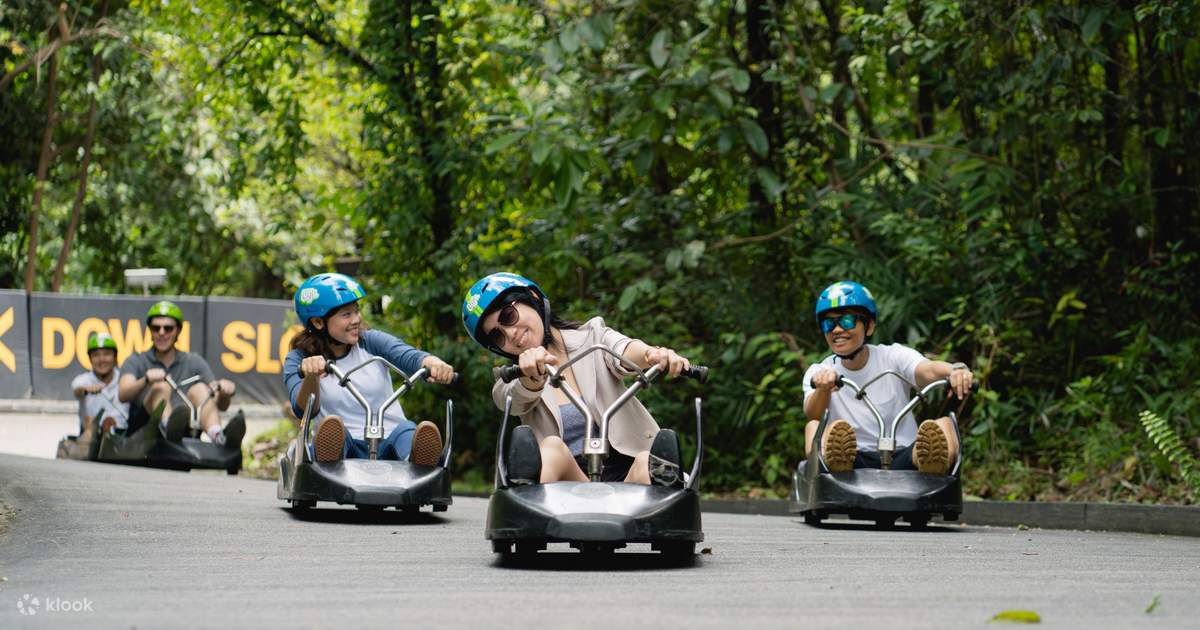 Luge & Skyride 2 Rounds + Luge Merchandise(Peak Hour)
