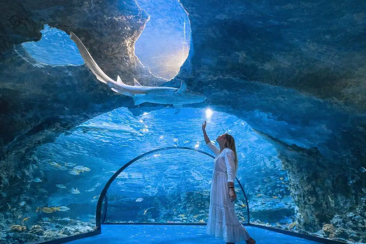 Visit To The National Aquarium Abu Dhabi