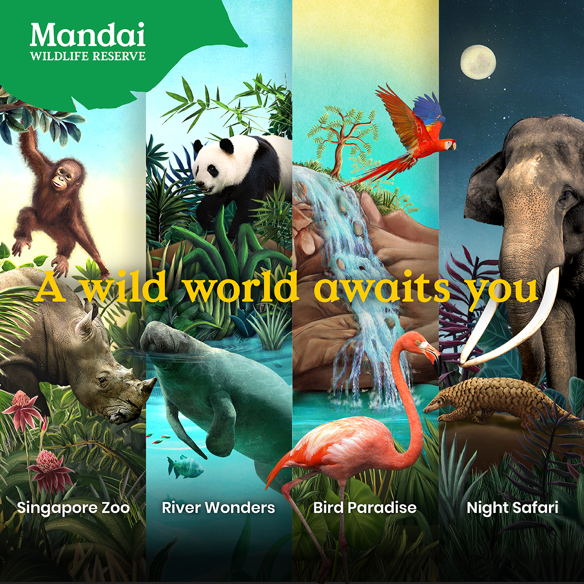 SG Zoo, Night Safari, River Wonders & Bird Paradise Combo