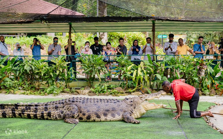 Half Day Langkawi Underwater World and Crocodile Farm Tour ( 4 Hours ) at Langkawi (from North Hotel