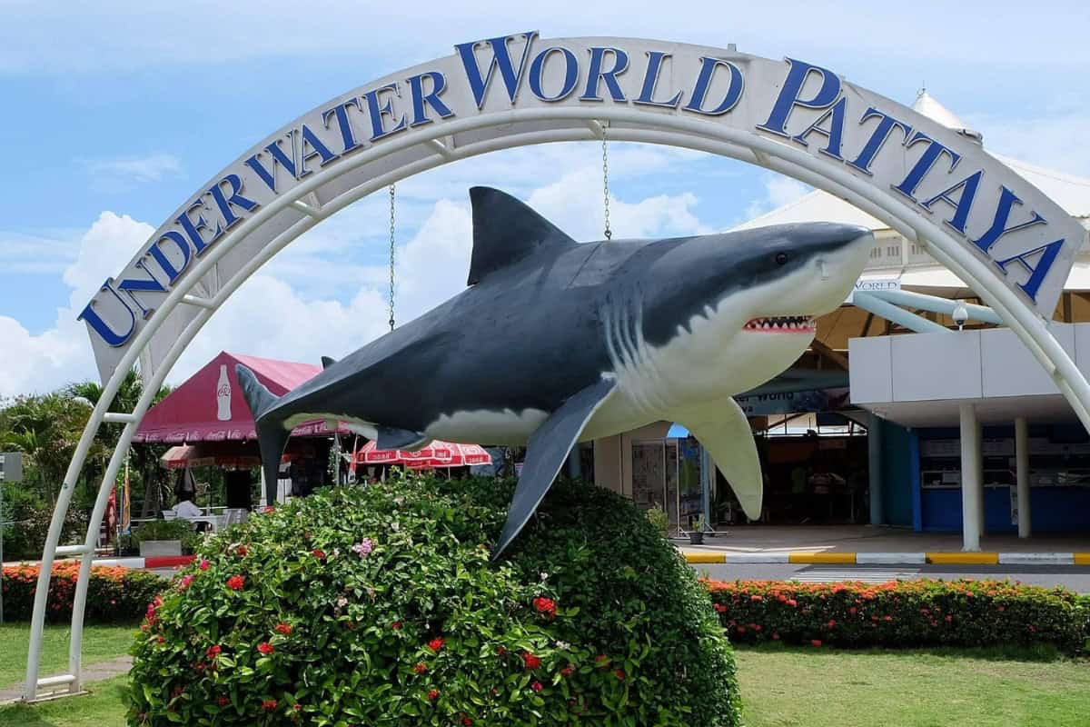 Visit To Underwater World