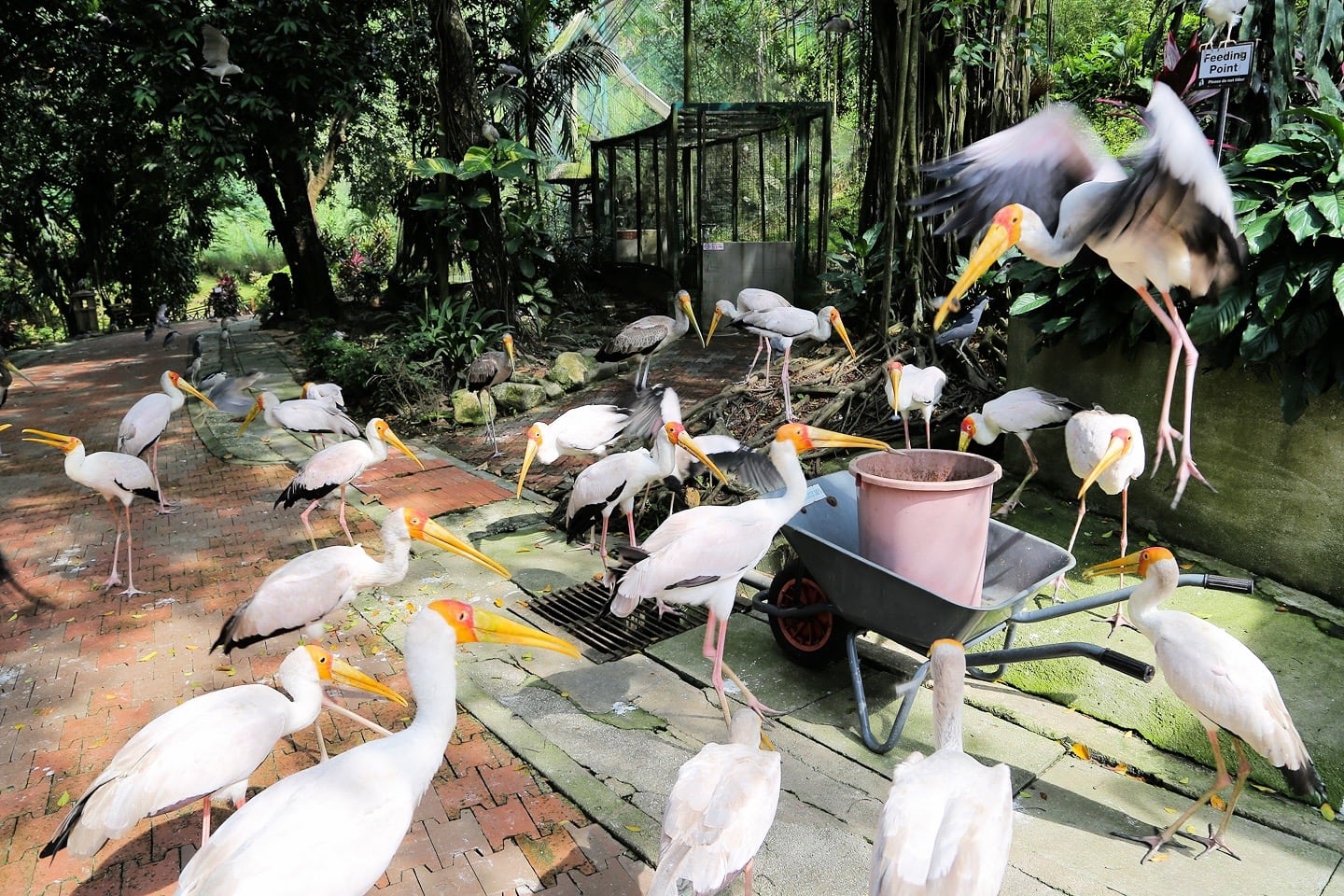 KL Bird Park