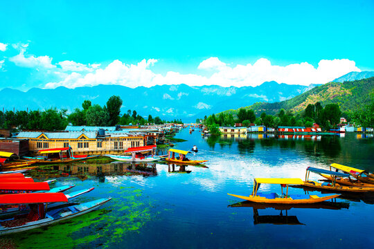 Jammu and Kashmir