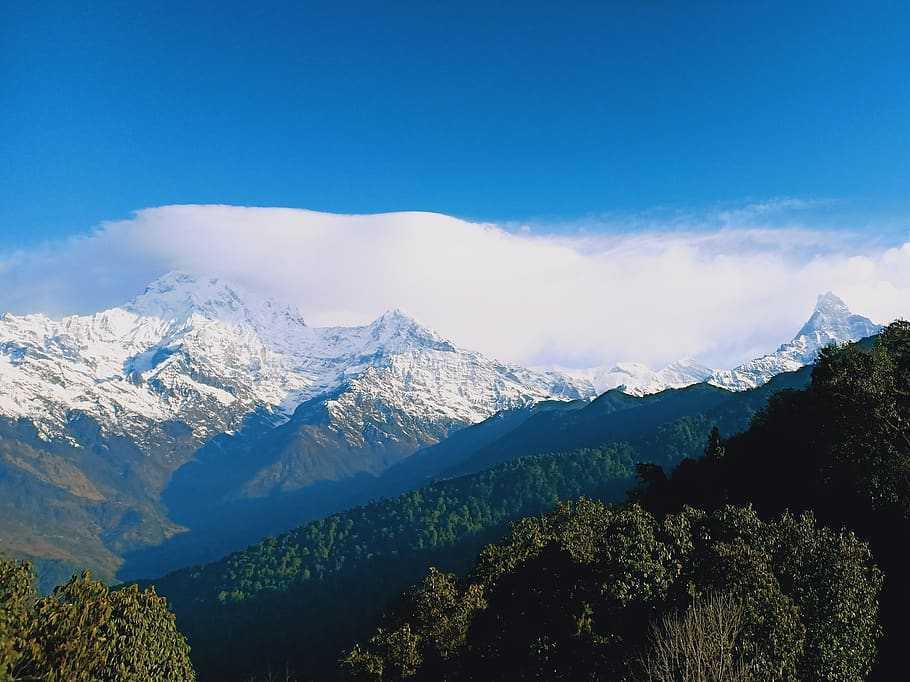 Himalayan Panorama: Gangtok, Pelling & Darjeeling Tour — image 8
