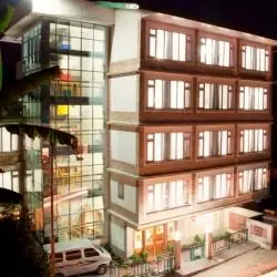 Himalayan Panorama: Gangtok, Pelling & Darjeeling Tour — image 4