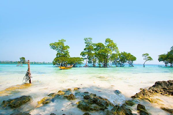 Gateway to Andaman – 5 Nights Complete Package