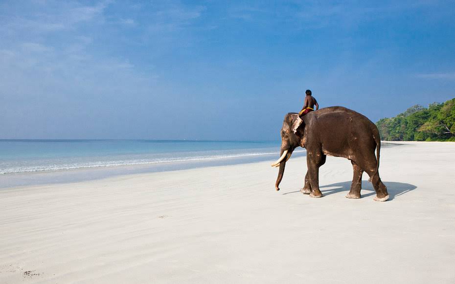 Gateway to Andaman – 5 Nights Complete Package — image 3